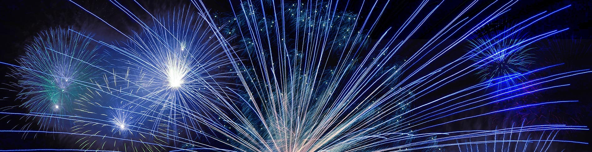 Colourful bursts of fireworks light up the night sky.