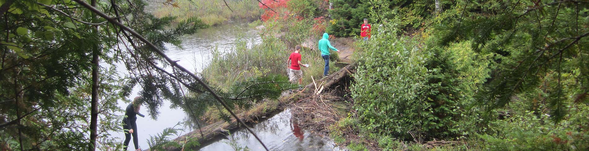 People cross a stream using a fallen log.