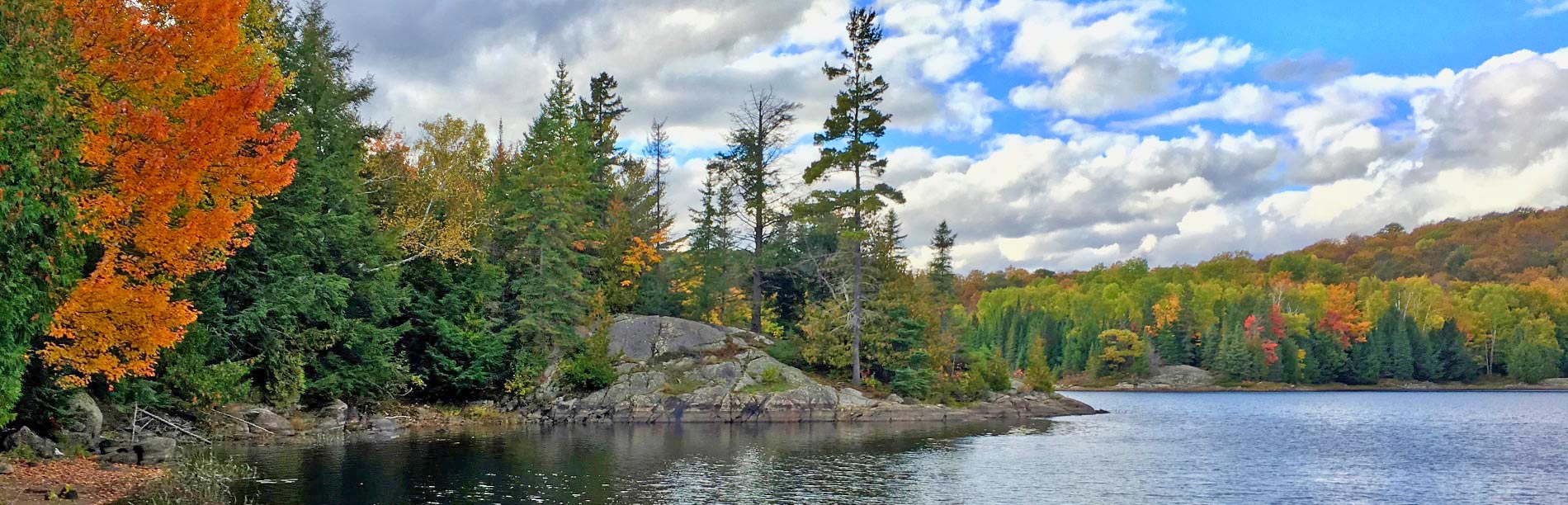 Autumn leaves on trees surrounding a lake with rock outcroppings.