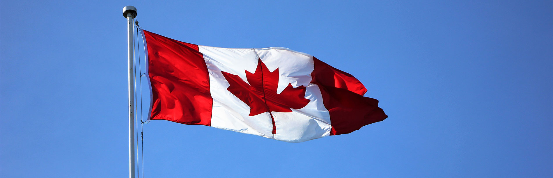 The red and white Canada flag flies on a flagpole with a blue sky background.
