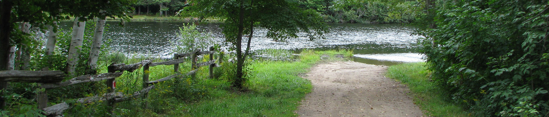 A water access point nestled between an old fence and a stand of trees.