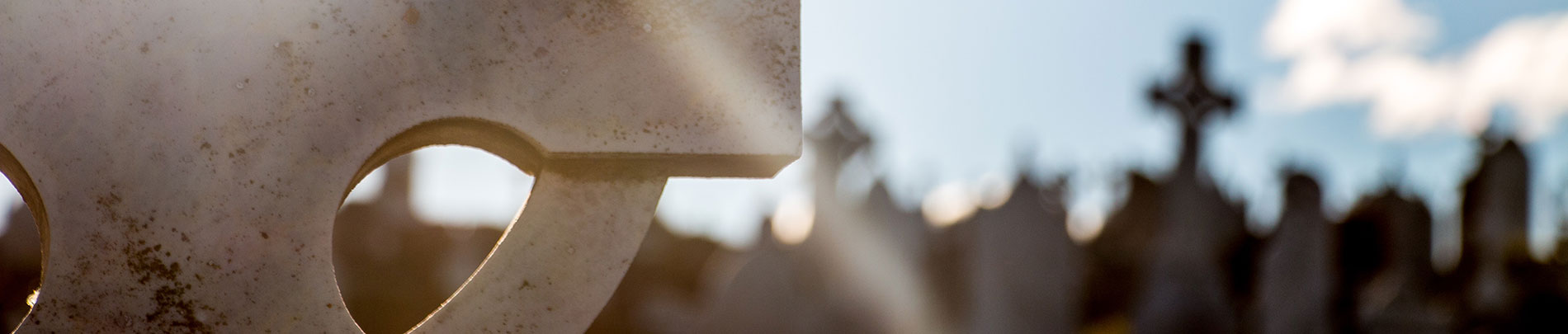 An old gravestone in the sun with others in the back, out of focus.