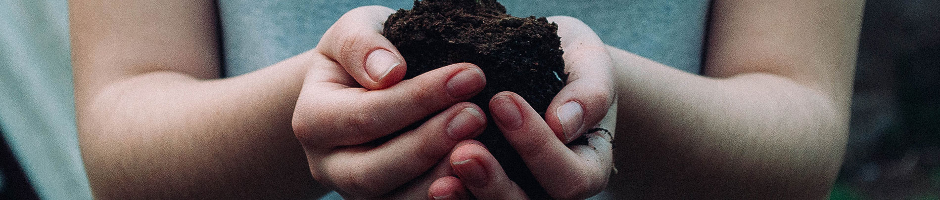 A person holding composted soil in their hands.