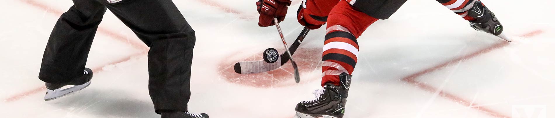 Hockey players face off on the ice.