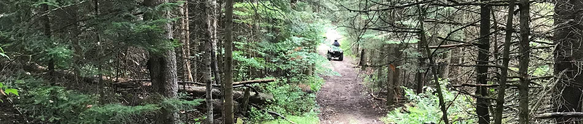 An ATV travels down the rail trail.