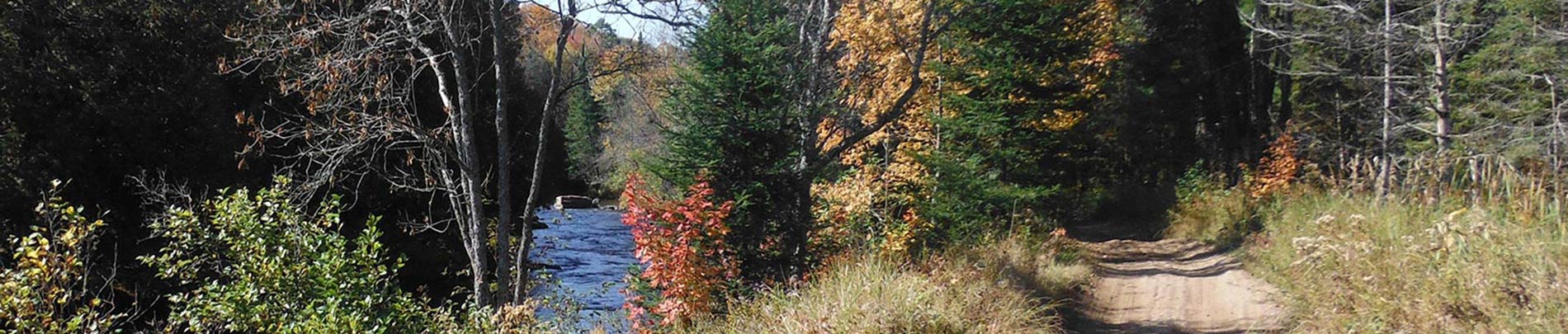 A trail next to a river.