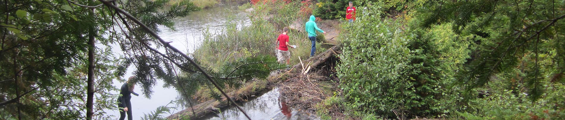 People cross the log bridge at Sucker Lake.