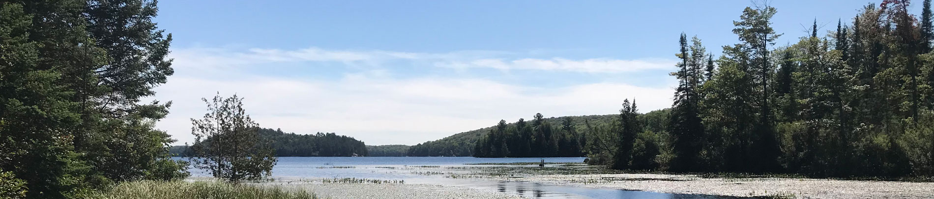 The sun reflects off the water looking out from an inlet to a large lake.