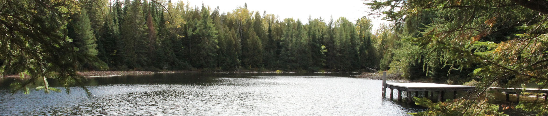 A small lake with wooden dock surrounded by trees on a sunny day.