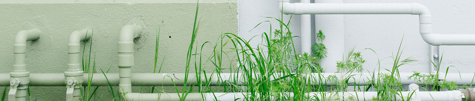 Water pipes on the outside of a building with grass growing up them.