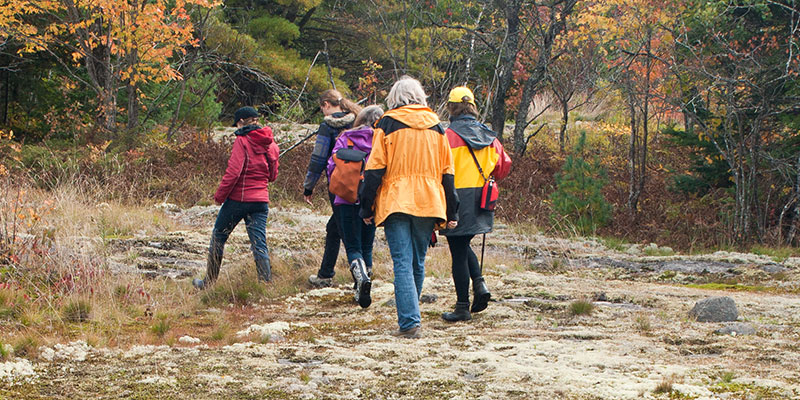 A group of people walking on a trail in the fall. Photo by: ARK Photography