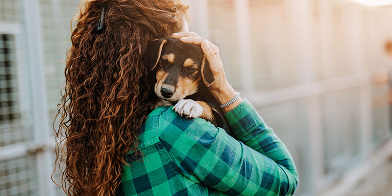 Person holding a dog in front of some dog cages.