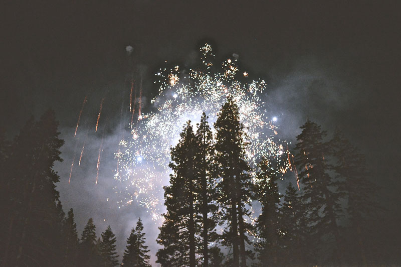Fireworks explode silhouetting the surrounding tall pine trees.