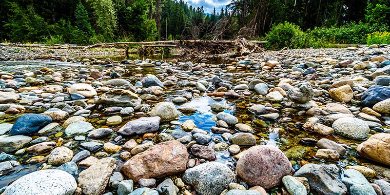 A riverbed with exposed rocks and little water.
