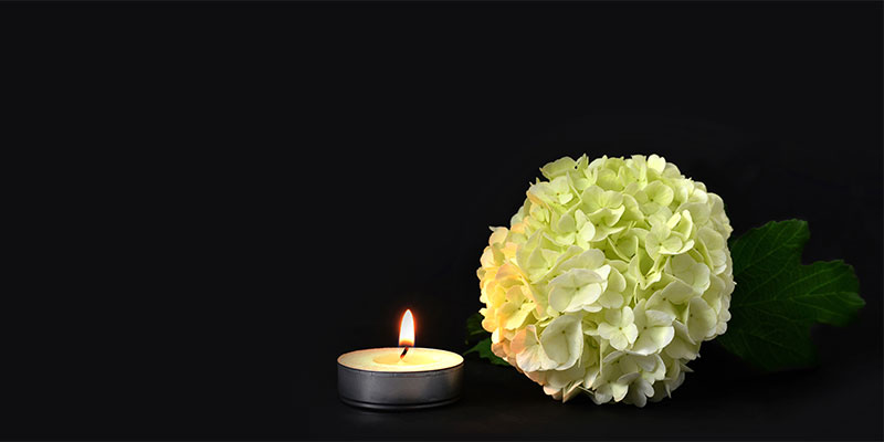 A candle and white flower on a dark background.