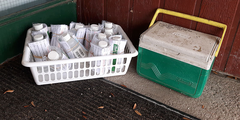 The basket of water bottles and drop-off cooler located outside the doors of the Wilberforce Municipal Office.