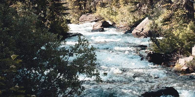 A stream overflows with rushing water.