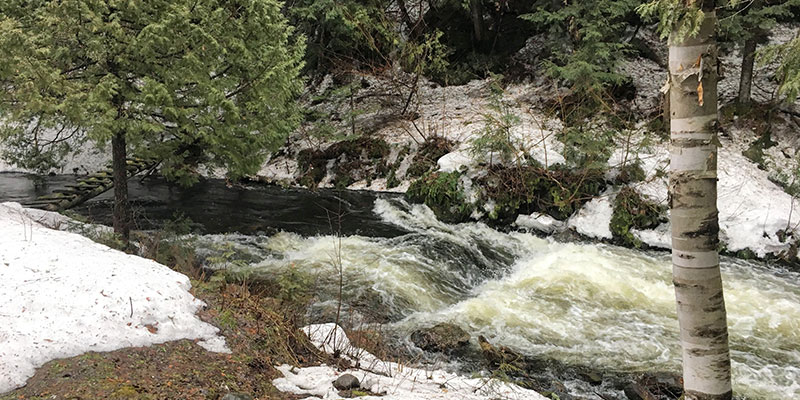 A river swells with spring runoff.